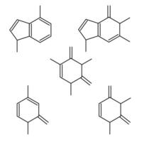 Set of formula DNA nucleotide. Guanine, adenine, cytosine and thymine line illustration isolated on white vector