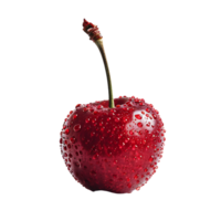 A Cherry on isolated transparent background png