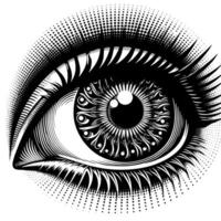 Black and White Illustration of the Human Eye Iris vector