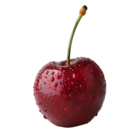 A Cherry on isolated transparent background png