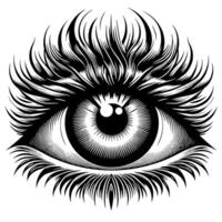 Black and White Illustration of the Human Eye Iris vector