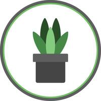 Snake Plant Flat Circle Icon vector