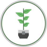 Rubber Plant Flat Circle Icon vector