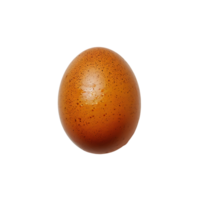 ägg på isolerat transparent bakgrund png