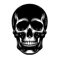 Black and White Illustration of a human skull vector