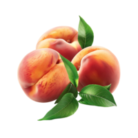 Peach fruit on isolated transparent background png