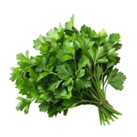 Parsley leaves in a closeup on isolated transparent background png