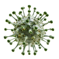 Virus on isolated transparent background png