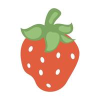 Hand drawn strawberry fruit illustration on white background vector