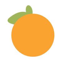 Fresh orange citrus fruit illustration on white background vector