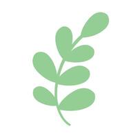 Plant branch design on white background vector