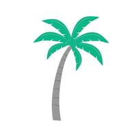 Hand drawn palm trees with coconut on white background vector