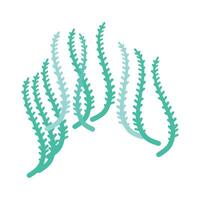 Flat coral illustration on white background vector