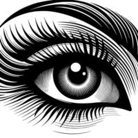 Black and White Illustration of the Human Eye Iris vector