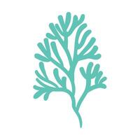 Flat coral illustration on white background vector