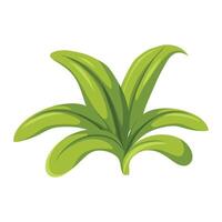 flower plant with leaves and foliage flora botany vector