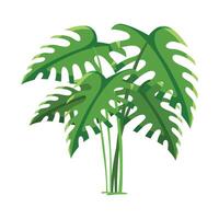 flower plant with leaves and foliage flora botany vector
