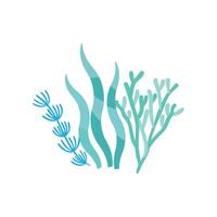 Flat coral illustration on white background vector