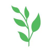 Leaves, symbol spring and growth, plant branch vector