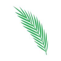 palm branch illustration on white background vector