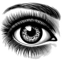 Black and White Illustration of the Human Eye Iris vector