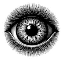 Black and White Illustration of the Human Eye Iris vector