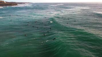 Aerial view of ocean horizon with sunset sky fly over. video