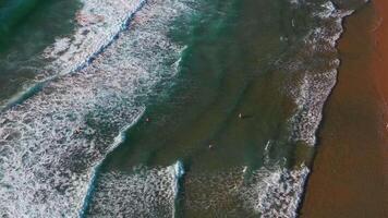 aereo Visualizza di onda su il spiaggia con sabbia e turchese onde video