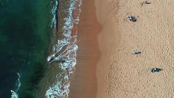 aéreo ver de ola en el playa con arena y turquesa olas video