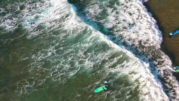 aéreo Visão do onda em a de praia com areia e turquesa ondas video