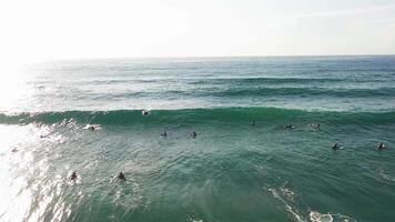 aereo Visualizza di onda su il spiaggia con sabbia e turchese onde video