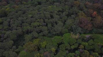 aéreo Visão do monsanto Colina público parque. video