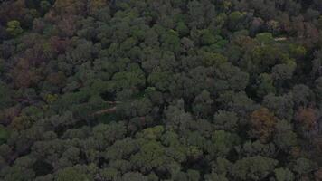 aérien vue de Monsanto colline Publique parc. video