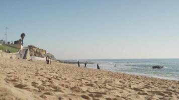 människor gående längs de strand i de sand video