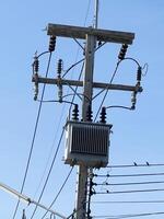 electric pole with wires photo