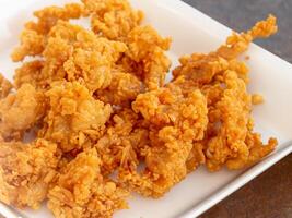 fried chicken on white dish photo