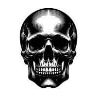 Black and White Illustration of a human skull vector