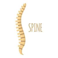 Spine icon clipart avatar logotype isolated illustration vector