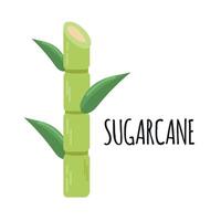 Sugarcane icon clipart avatar logotype isolated illustration vector