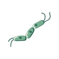 bacterias icono clipart avatar logotipo aislado ilustración vector