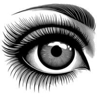 Black and White Illustration of the Human Eye Iris vector