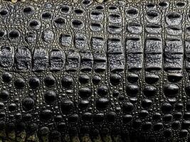 crocodile leather background close up photo