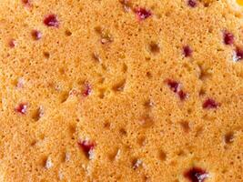 sponge cake texture close up photo