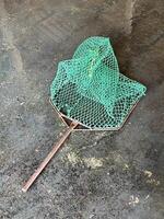 green net for fishing photo