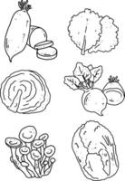 vegetables line element design for templates vector