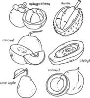 fruits line element design for templates. vector