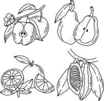 frutas línea elemento diseño para plantillas. vector