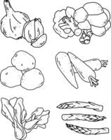 vegetables line element design for templates vector