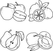 fruits line element design for templates. vector