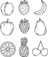 fruits line element design for templates. vector